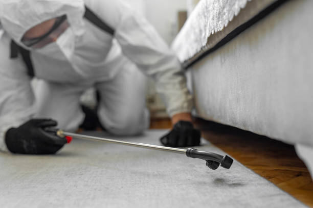 Professional Ant Control technician working in Bellbrook, OH