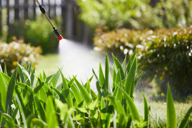 24/7 Emergency Ant Control experts in Bellbrook, OH
